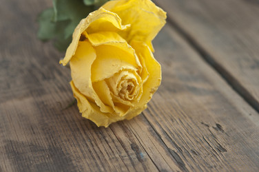 Similar image 5959322