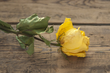 Similar image 5959323