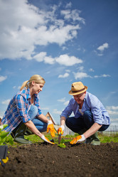 Similar image 5959558