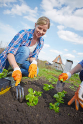 Similar image 5959559