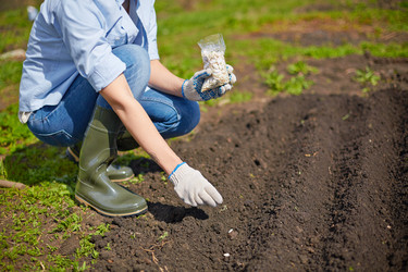 Similar image 5959598