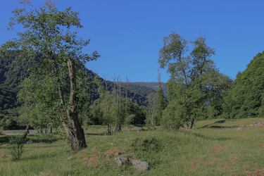 Similar image 5959697