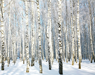 Similar image 5959740