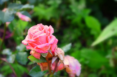 Similar image 5959753