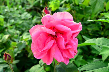 Similar image 5959754