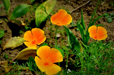 Similar image 5959757