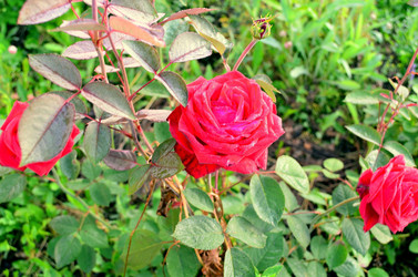 Similar image 5959758