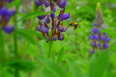 Similar image 5959759