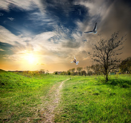 Similar image 5959837