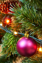 Similar image 5959849