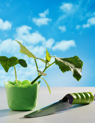 Similar image 5959851