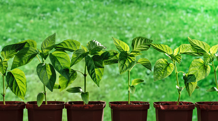 Similar image 5959853