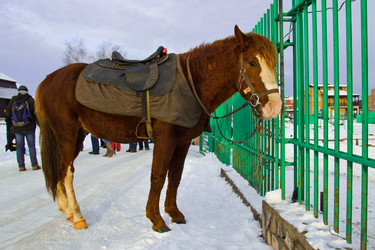 Similar image 5959859