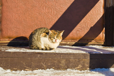 Similar image 5959861