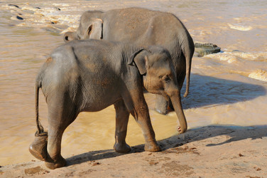 Similar image 5959895