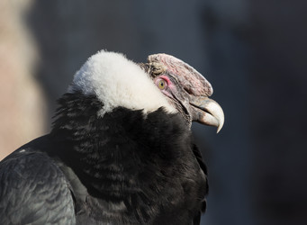 Similar image 5959910