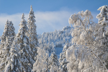 Similar image 5959931