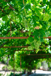 Similar image 5959945