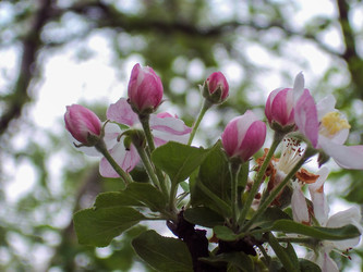 Similar image 5960062