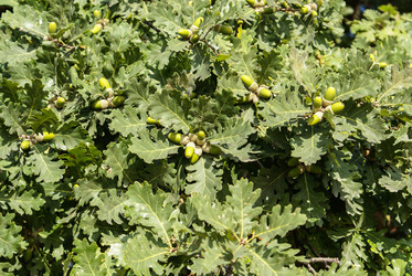 Similar image 5960064