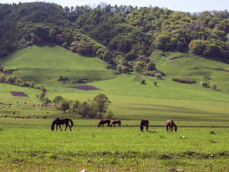 Similar image 5960076