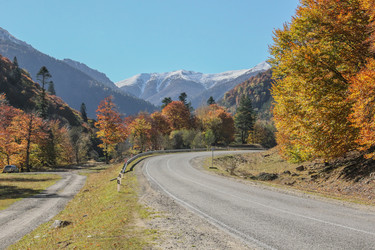 Similar image 5960087