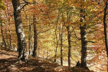 Similar image 5960088