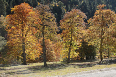 Similar image 5960089