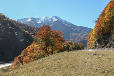 Similar image 5960494