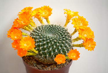 Similar image 5960716