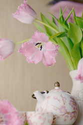 Similar image 5960833