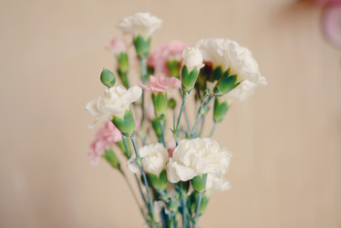 Similar image 5960835