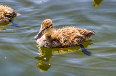 Similar image 5960865