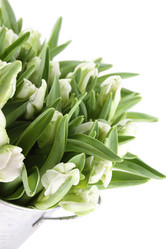 Similar image 5960878