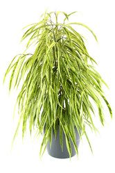 Similar image 5960888