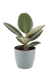 Similar image 5960890