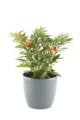 Similar image 5960891