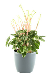 Similar image 5960892