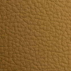 Similar image 5961027