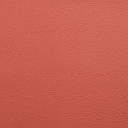 Similar image 5961028