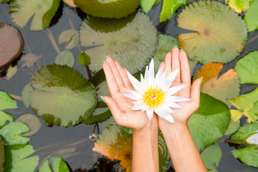 Similar image 5961158