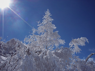 Similar image 5961210