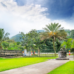 Similar image 5961215