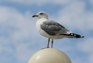 Similar image 5961227