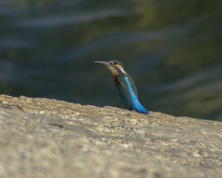 Similar image 5961234