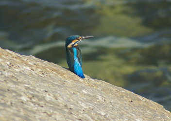 Similar image 5961235