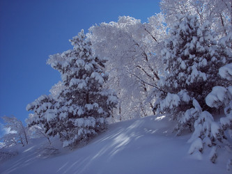 Similar image 5961282