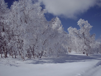 Similar image 5961283