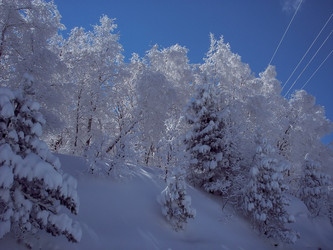 Similar image 5961293