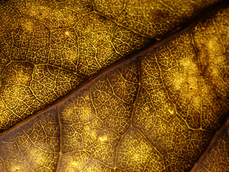 Similar image 5979569